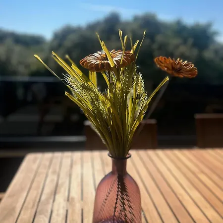 Апартаменти Penthouse Hedonist With Hidromassage Bath